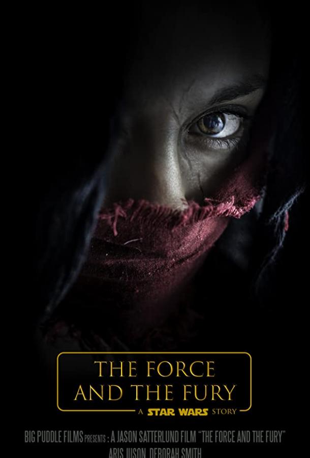 Постер к Звёздные войны: Сила и ярость (2017)