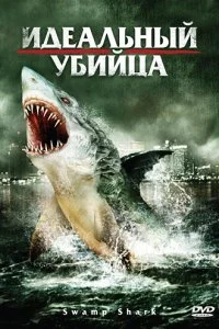 Постер к Идеальный убийца (2011)